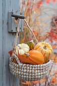 Basket with small edible pumpkins and ornamental pumpkin hung on door handle