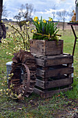 Rural Easter decoration with daffodils and hyacinths in wooden box, willow catkins and wreath made of bark