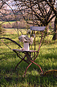 Kirschblüten-Strauß auf Stuhl in der Wiese