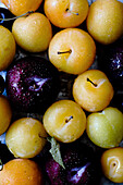 Yellow and purple plums