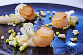 Fried scallop with cauliflower and romanesco