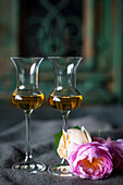 Two glasses of grappa