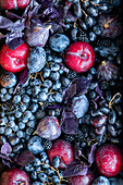 Autumn fruit in shades of blue and purple