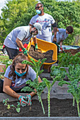 Community garden volunteers