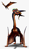 Quetzalcoatlus prehistoric flying reptile, illustration