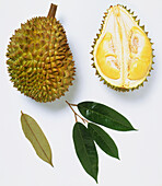 Shell, fruit and leaves of Durio zibethinus