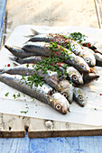 Grilled sardines with lemon and paprika on chopping board