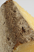 Rind of French cantal AOC cow's milk cheese