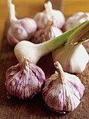 Bulbs of purple garlic