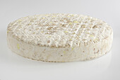 French fouchtra goat's cheese