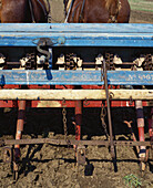 Plough pulled by horses