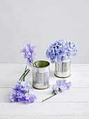 Creating hydrangea flower arrangement in tin cans