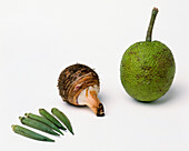 Okra, dasheen root and breadfruit