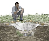 Man sitting on edge of solar still, illustration