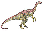 Thecodontosaurus, illustration