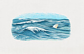 Beluga whale spyhopping, illustration