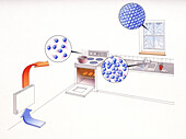 Sources of heat and cold in kitchen, illustration
