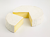 Kelston Park cheese