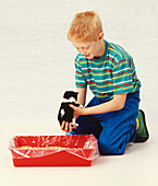 Boy holding black and white kitten above plastic litter tray