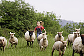 Girl chasing after sheep in a field