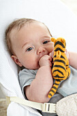 Baby boy chewing soft toy tiger