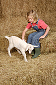 Girl stroking goat kid