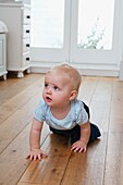 Baby boy crawling on wooden floor
