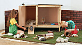 Young boy and girl playing with guinea pigs