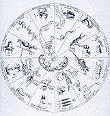 Star map from Kircher's 'Oedipus Aegyptiacus'