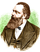 Theodor Billroth, German-Austrian surgeon