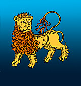 Leo constellation, zodiac Sign, 1482