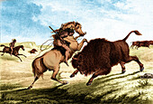Native American buffalo hunt