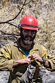 Sawyer preparing to cut down tree damaged in forest fire