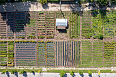 Urban farm, Detroit, Michigan, USA, aerial photograph