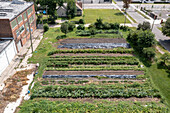 Garden behind a food bank warehouse, Michigan, USA