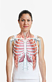 Ribcage and lungs superimposed on woman's body