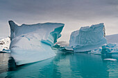 Skontorp cove, Antarctica