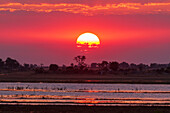 Sunset along the banks of the Chobe River, Botswana