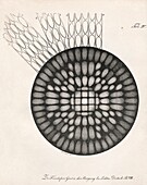 Fraunhofer diffraction pattern, illustration