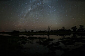 Milky way and zodiacal light over Okavango Delta, Botswana