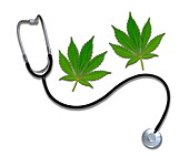 Medicinal cannabis, conceptual image