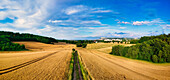 Field with ripe wheat and a country road