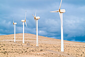 Electric wind turbine generators in the desert