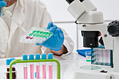 Scientist pipetting samples into a plate