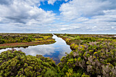Tidal marsh in South Australia