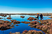 Scientists returning from a wetland with collected samples