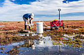 Scientist measuring greenhouse gas emissions at a wetland