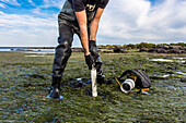 Scientist collecting sediment core