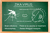Zika virus, conceptual image