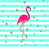 Flamingo, illustration